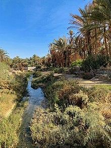 Natures⁤ Oasis: ​Serene Spots and Outdoor Experiences in ⁤the City